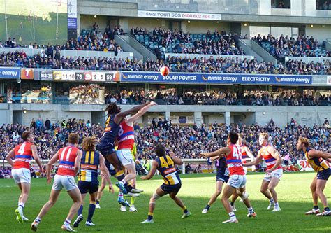 afl football scores|AFL Fitness Testing .